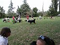 img 147